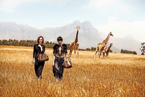 Fashion Meets Decor : LV Safari Style | Flat 15 Design & Lifestyle